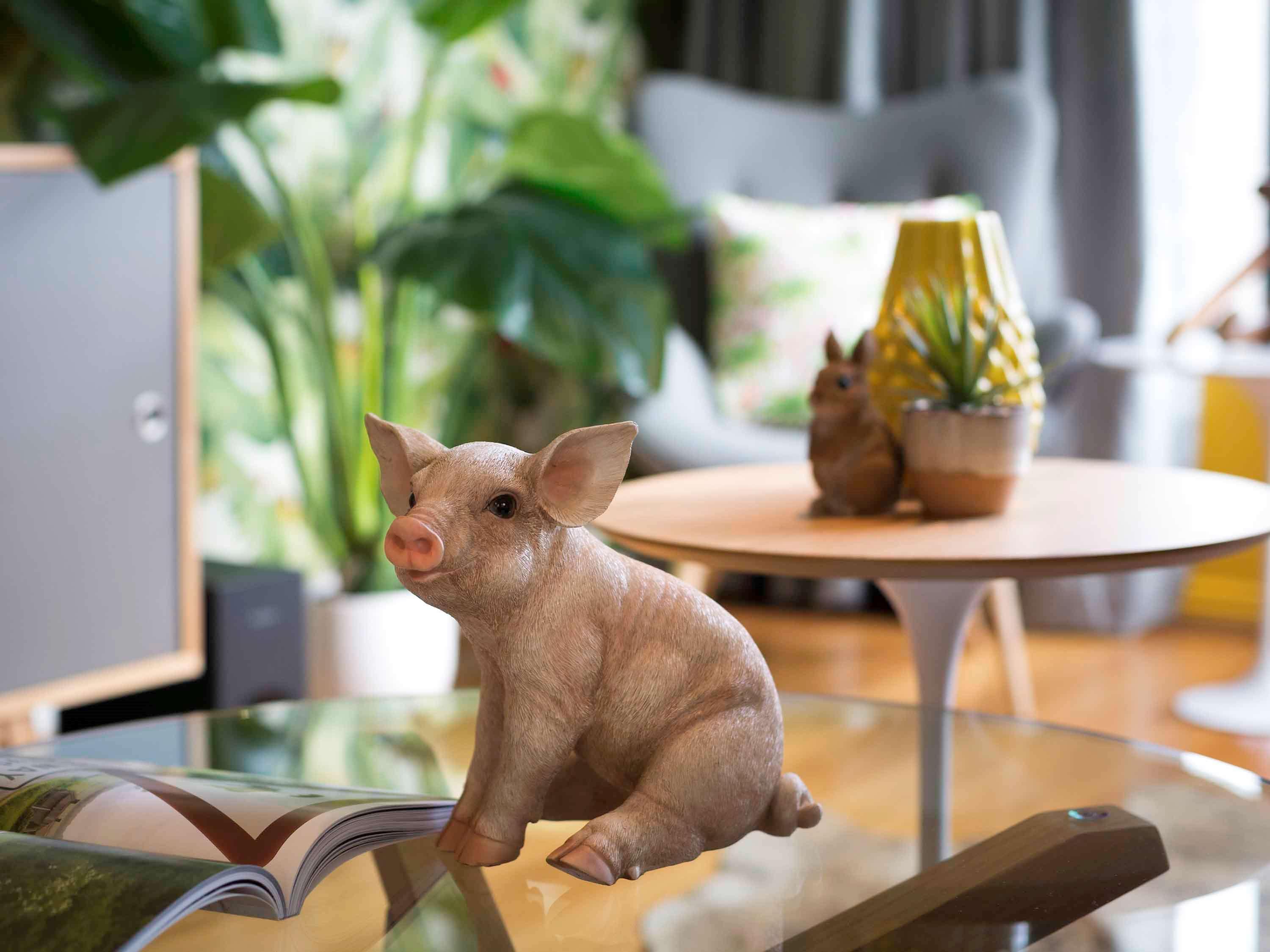 Отель Pullman Sydney Hyde Park Экстерьер фото A piglet
